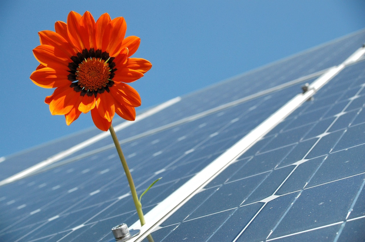 How to Reduce Your Carbon Footprint with Solar Panels