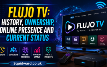Flujo TV