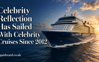 Celebrity Reflection