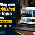 BrumeBlog com